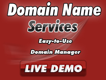 Economical domain registration service providers
